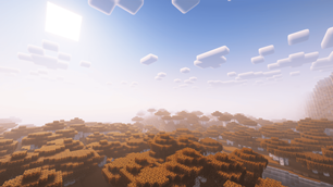 Big birch forest