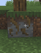 Roots and a Tree on Grassy Permafrost