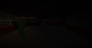 D-class staring at SCP 173 in the dark