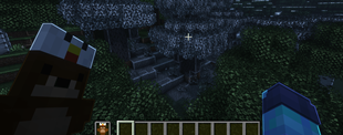 Totem ingame first person