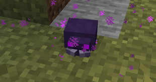 endermite