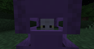 shulker
