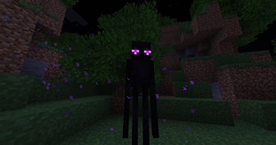 enderman