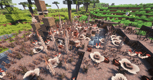 Fungal Infection: Spore