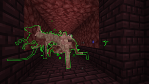 Nether