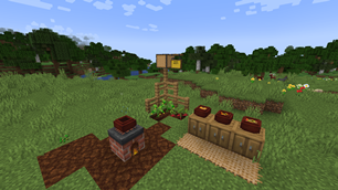 Clay pots
