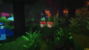 ÐÐµÐ· Ð¸Ð¼ÐµÐ½Ð¸-2 ÐºÐ¾Ð¿Ð¸Ñ.jpg