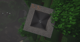 To the maze?