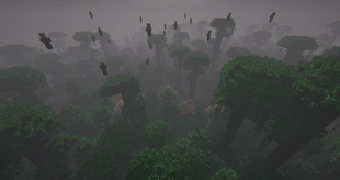 A village in a jungle?