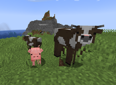 cows and pig