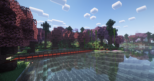 Plum Bridge in Blossom Forest