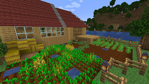 Big Farm House