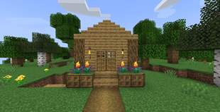 The Forest House