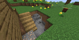 The mine/cave next to the forest house