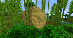 Holy Bamboo House