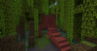 Magic Swamp House
