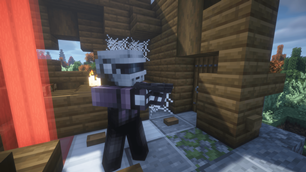 Player Holding P30L