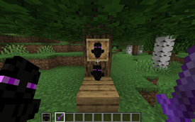 Enderman Totem