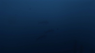 oceanography_manual_screenshots_9.jpg