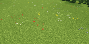 Green Grass Variation 2.png