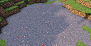 Mycelium Variation.png