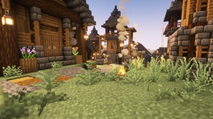 Village