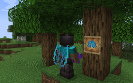 Allay Elytra