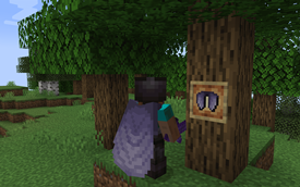 Classic Vanilla+ Elytra