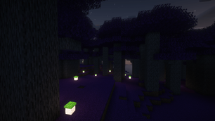 Magic Forest
