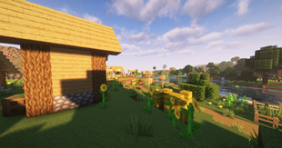 Village