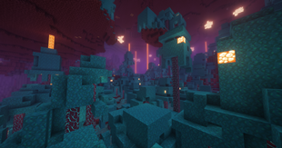 Warped Forest