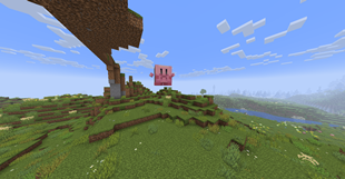 Kirby In Air