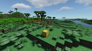 Lucky Block