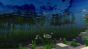 Underwater