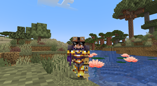 A lot of mods to make playing more enjoyable