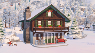 Screenshot 13
