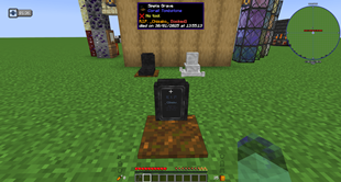 Quality of life (and death)