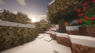 Winter