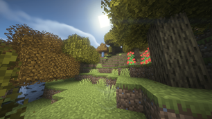 Autumn