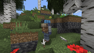 Backpack on player