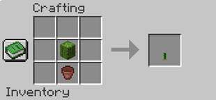 SmallCactus.PNG