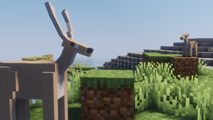 Deer