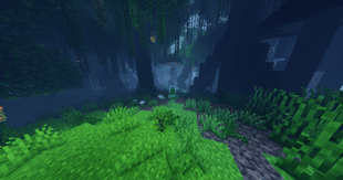 Forest with Familiar