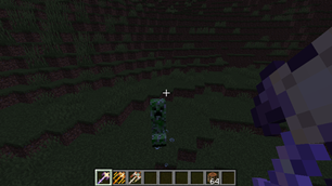 ShulkerStavesScreenshot1.png