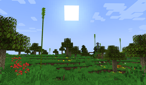 Lemon fields