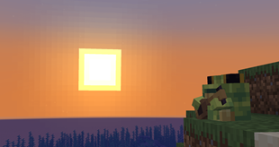 Ribbit by the sunset