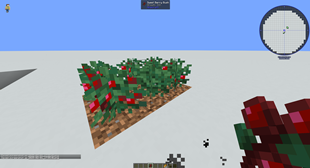 Grows berries too