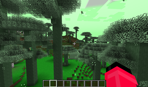Magic Forest