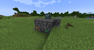 Rare boulder