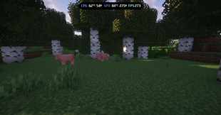 BB Pigs